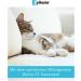 Zylkene Vetoquinol 75 mg Capsules | 40 Pack | Supplementary Dog Feed | Supports Dogs in Unusual Situations | International Shipping Available - Buy Online on GoSupps.com