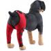 Dog Knee Brace Dog Rear Hind Leg Joint Brace Pet Dog Double Hind Leg Brace Support Belt for Heals Prevents Injuries Sprains Protects Wounds. C Large - Buy Online on GoSupps.com