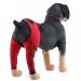 Dog Knee Brace Pet Dog Hind Leg Brace Support Belt Pet Dog Double Hind Leg Brace Support Belt for Heals Prevents Injuries Sprains Protects Wounds. A Medium