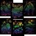 ROYAL BRUSH Rainbow Engraving Art Kit - Creative Rainbow Scratch Art Set - Buy Online on GoSupps.com