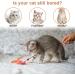 7 Interactive Cat Toys Springs Set | Suction Cup Fishing Toys with Bells & Feathers - Buy Online on GoSupps.com