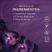 O Botic rio Nativa SPA Body Oil (Orchid Noire) - Buy Online on GoSupps.com