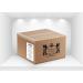 Frisk Sour Lemon Caramelle Dure Gusto Limone senza Zucchero Confezione da 6 Barattoli con 70 Microcompresse - Buy Online on GoSupps.com