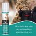 Segminismart Anti-Cat Scratch Spray | Protect Furniture Plants & Floors | Scratch-Resistant Solution for Cats - Buy Online on GoSupps.com