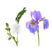 Derek Lam 10 Crosby - Afloat - 5.9 Oz Eau De Parfum - Fragrance Mist For Women - Light Clean Floral Scent - Perfume Spray With Sweet Mimosa And Powdery Orris Accords 5.9 Fl Oz (Pack of 1) Afloat - Buy Online on GoSupps.com