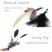 SONGWAY Interactive Cat Feather Toys - 7 Pcs Set with Retractable Wand and Teaser Refills for Indoor Cats and Kittens - Buy Online on GoSupps.com