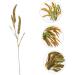 Ciieeo 3pcs Simulated Ears of Corn Artificial Wheat Ears Stalks Thanksgiving Decorations Wheat Home D cor Fall Decor Artificial Plants Simulation Wheat Ears Household Fake Grass Iron Greenx3pcs 12X75CMx3pcs - Buy Online on GoSupps.com