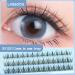 DIY Eyelash Extensions - Angel Eyelashes | Natural Individual & Cluster Lashes | Wholesale 9/10/11mm - Perfect for Flower Fairy Eye Makeup - Buy Online on GoSupps.com