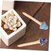 Toddmomy Craft Accessories 6pcs Landscape Patio Tiny Statues Scene Garden Flowerpot Small Miniatures Micro Simulation Lawn - Buy Online on GoSupps.com