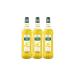 Mathieu Teisseire Citron Clair Syrups for Drinks, Cocktails with or without Alcohol, Beer, Soda, 3 x 1L Bottles