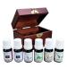 Favorites Sampler Wooden Box of Six 100% Pure Essential Oils for Aromatherapy - Therapeutic Grade - for Use Diffusers