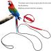 Buy Cyrank Bird Dishes & Adjustable Pet Leash for Outdoor Training | Perfect for Nymphensittich & Alexandriner Birds - Fast International Shipping - Buy Online on GoSupps.com
