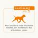 BEAPHAR Flexifit Joint Sticks for Dogs Contains vitamins glucosamine and essential fatty acids Provides joint support Delicious meaty taste Level 1 175g - Buy Online on GoSupps.com