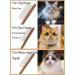 Grooming Combs for Cats and Dogs | Long and Short Hair | Pet Grooming Tool - Buy Online on GoSupps.com