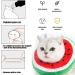 Shop Crazy Bean Postoperative Protective Collar for Cats - Soft Adjustable Safe & Convenient Elizabethan Kitten Collar in Watermelon - Buy Online on GoSupps.com