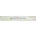 Clinique Lip Pencil 0020714755331 # 05 Intense Passion 1 count (Pack of 1) - Buy Online on GoSupps.com