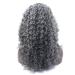 BGHJUE Women's Dark Grey Long Wave Synthetic Wig | Curly Lace Front Hairpieces for International Shipping - Buy Online on GoSupps.com
