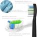 Mouth Armor Replacement Brush Heads - 2 Pack - Buy Online on GoSupps.com