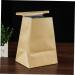 15pcs Travel Kraft Paper Car Trash Bags - Light Brown Vomit Bag Disposable - Buy Online on GoSupps.com