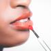 6pcs Silicone Lip Brush Set - Lipstick & Eyeshadow Applicator for Perfect Makeup - Buy Online on GoSupps.com