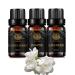 Aromatherapy Jasmine Essential Oil Set for Diffuser 3X10ml 100% Pure Lavender Essential Oil Kit for Humidifier-Jasmine Lavender Juniper Berry Essential Oil Set Aromatherapy Juniper Berry Oils Kit