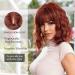 OUFEI Reddish Brown Curly Wig with Bangs | Short Synthetic Heat Resistant Wig for Women - Ideal for Daily Wear, Parties, and Cosplay - Buy Online on GoSupps.com