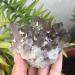Natural Smoky Quartz Crystal Cluster Rock Stone and Crystal Beautiful Crystal Crystal Cluster - Buy Online on GoSupps.com