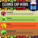 Herbal Cleanse Caps - Extra Strength Digestive Support | Natural Laxative and Colon Cleanser - 3 Month Supply - Buy Online on GoSupps.com