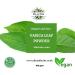 Clean Organic Vasica Leaf Powder- Adhatoda Vasica Powder -100% Pure and Natural (500) 500 g (Pack of 1) - Buy Online on GoSupps.com