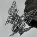Metal Liquid Butterfly Hair Clip - Large Claw Clip for Thick Hair | Vintage Geometric Barrette for Women and Girls - Buy Online on GoSupps.com