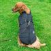 Dog Vest & Coat - Waterproof Winter Harness | Soft & Warm | 9 Colors Available | 4XL Black - Buy Online on GoSupps.com