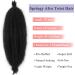 Leeven 30 Inch Pre-fluffed Spring Twist Crochet Hair Popping Springy Afro Twist Hair for Braiding for Marley Braiding Hair Ombre Afro Kinky Marley Hair Extensions /T30# 30 Inch (Pack of 8) T30# - Buy Online on GoSupps.com