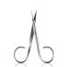 Rubis Switzerland Cuticle Scissors