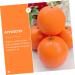 Alipis 10 Pcs child boy Children Toys props Model toy reward Fake Orange Models orange artificial toy set accessories window at home fake fruit Toy banana decoration fake - Buy Online on GoSupps.com
