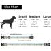 Suredoo Adjustable Soft Nylon Dog Collar for Small & Medium Dogs | Comfort Fit for Puppies | M Size (33-55 cm Neck 2 cm Width) - Perfect for Beach Adventures - Buy Online on GoSupps.com
