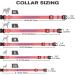 Personalized Reflective Dog Collar for Medium Dogs - Custom Embroidered Nylon with PET Name & Phone Number | Tagme - Buy Online on GoSupps.com