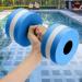 2PCS Blue Water Aerobic Dumbbells Set for Pool Workouts | Aqua Fitness Barbells for Weight Loss | 5.9''x10.63 - Buy Online on GoSupps.com