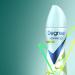 Degree Antiperspirant Spray Deodorant for Women Apple & Gardenia 72-Hour Protection 3.8 Ounce (Pack of 3) Apple and Gardenia 3.8 Ounce (Pack of 3) - Buy Online on GoSupps.com