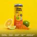 Golden Tiger Organic Sparkling Turmeric Lemonade - Original | Bio Active Curcumin + Ginger - 12 Cans | Caffeine Free - Plant Based Immunity Support - Buy Online on GoSupps.com