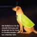 Reflecting Dog Warning Vest | Robust Safety Vest for Dogs | Sizes Available | Neon Green Lining Jacket - Buy Online on GoSupps.com