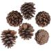 ABOOFAN 72 Pcs Xmas Pine Cone Ornaments Christmas Pine Cone Pine Cone Decorations Pine Needles Natural - Buy Online on GoSupps.com