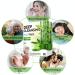 WisePatch Foot Pads 100 PCS - Natural Detox Foot Patches for Body Cleansing - Buy Online on GoSupps.com