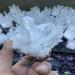 Home Decoration 1pcs Natural Crystal Cluster Raw Quartz White ReikiStones Crystal Point Specimen Home Decoration Ra Crystals Stones ZJGIDTEM (Size : 420-500) - Buy Online on GoSupps.com