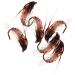 Qievcrme Fly Fishing Flies Kit 40/137pcs for Trout Bass Steelhead - Dry/Wet Flies Assortment in Fly Box - 6 Mixed Styles - Buy Online on GoSupps.com