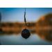Tandem Baits Carp Food Mini Boosted Hookers Carp Bait Carp Fishing Fishing Pop-Ups Carp Boilies Professional Carp Fishing Accessories 12mm 50g - Buy Online on GoSupps.com