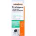 ECHINACEA RATIOPHARM Liquid alcohol-free 100 ml