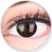 Glamlens Silicone Comfort Soft Dark Brown Color Contact Lens Choco Dark Brown Without Strength - Strong Covering for light dark brown black eyes + container - 2 pieces of 14.0-0.00 Dioptries