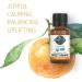 Garden of Life Sweet Orange Essential Oil - 100% Organic, Pure & Non-GMO - 0.5 Fl Oz for Diffuser & Aromatherapy - Buy Online on GoSupps.com