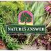 Natura Answers Gluten Free Oregano Oil 90 Softgels - Buy Online on GoSupps.com