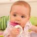 MAM Mini Cooler & Clip - Teething Ring & Tooth Crown Pink Soothing Relief for Babies Buy Internationally - Buy Online on GoSupps.com